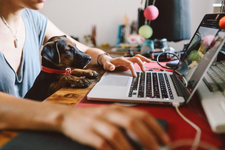 11 tips on how to work from home the right way
